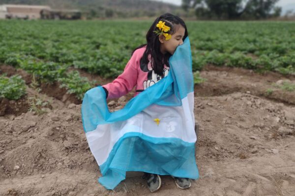 Ganadores del Concurso 2024