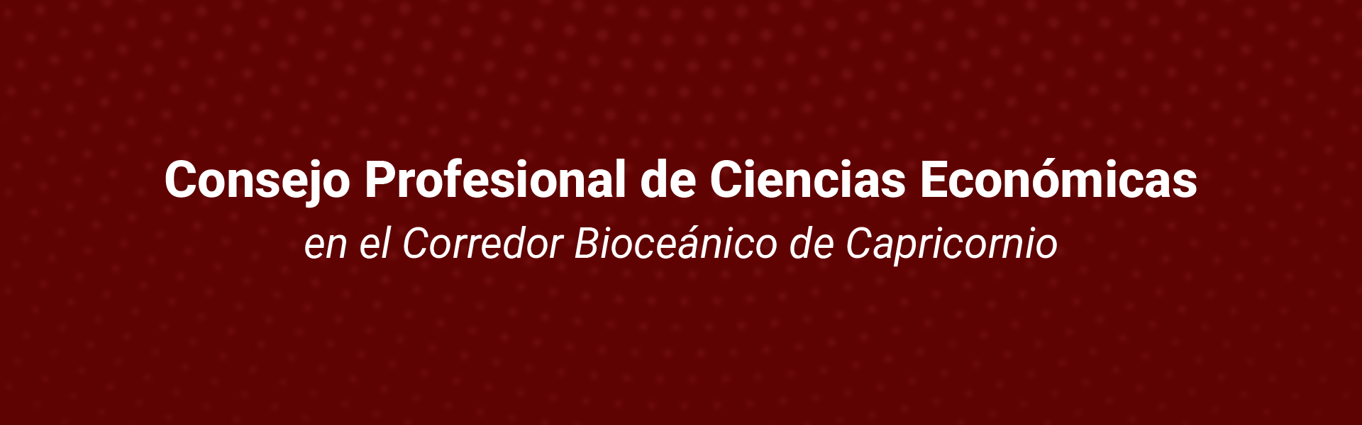 Consejo Profesional de Ciencias Economicas en el Corredor Bioceanico de Capricornio